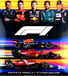 Formula 1 - F1 Figurine